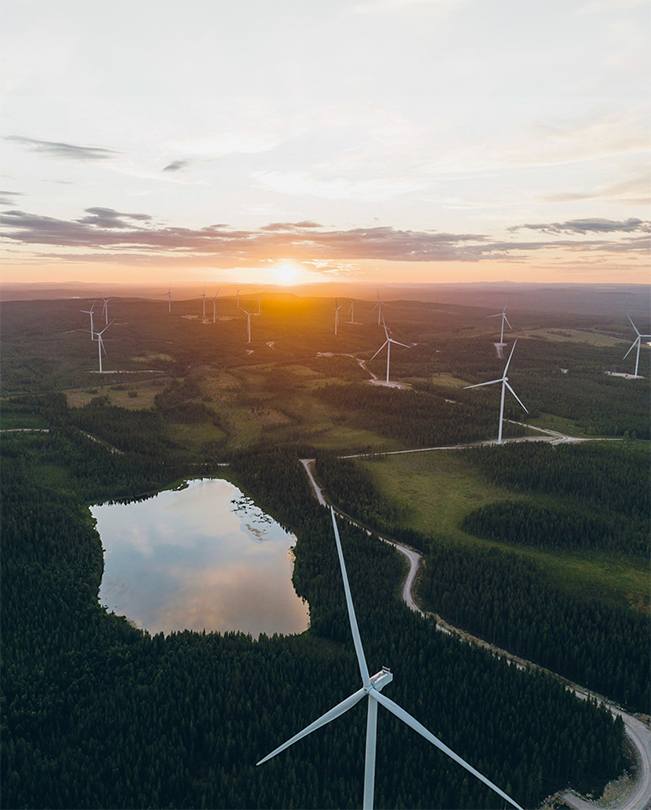 從空中俯瞰一座座蓋在青翠鄉間的風力發電渦輪機。